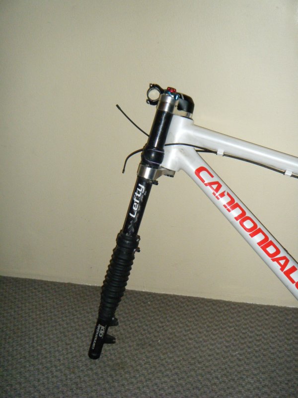 cannondale taurine sl