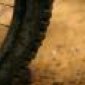 trailburner's picture