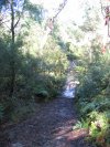 Booralie Creek Crossing