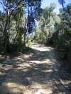 Killer Climb