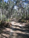 Morong Creek Fire Trail