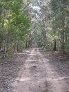 Gulp Road