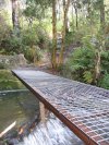 Bridged Crossing