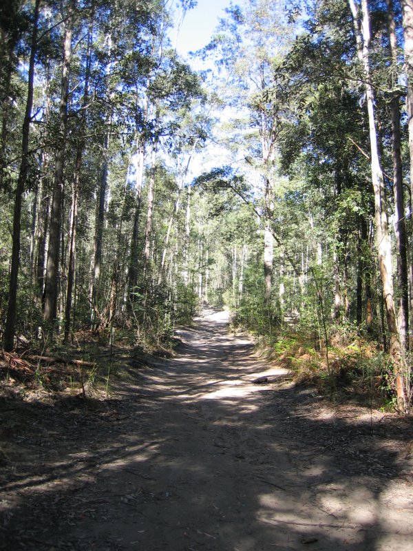Bottom of Valley