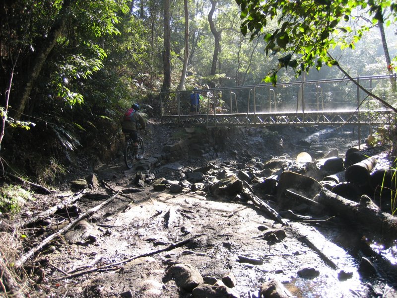 Tidal Crossing
