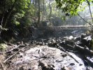 Tidal Crossing