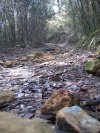 Rocky Trail