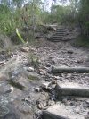 Steps