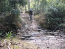 Creek Crossing
