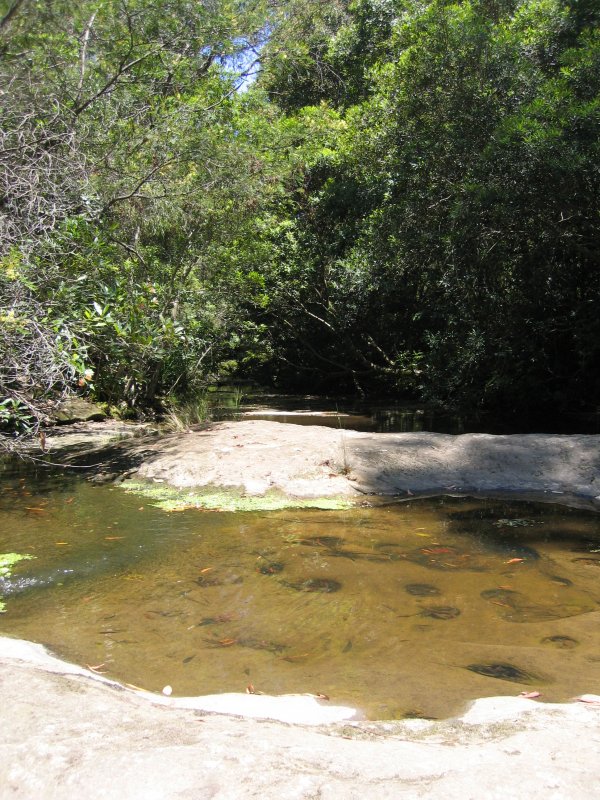 Creek Crossing