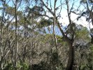 View below Mt Barrington
