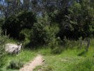 Meadows Entry