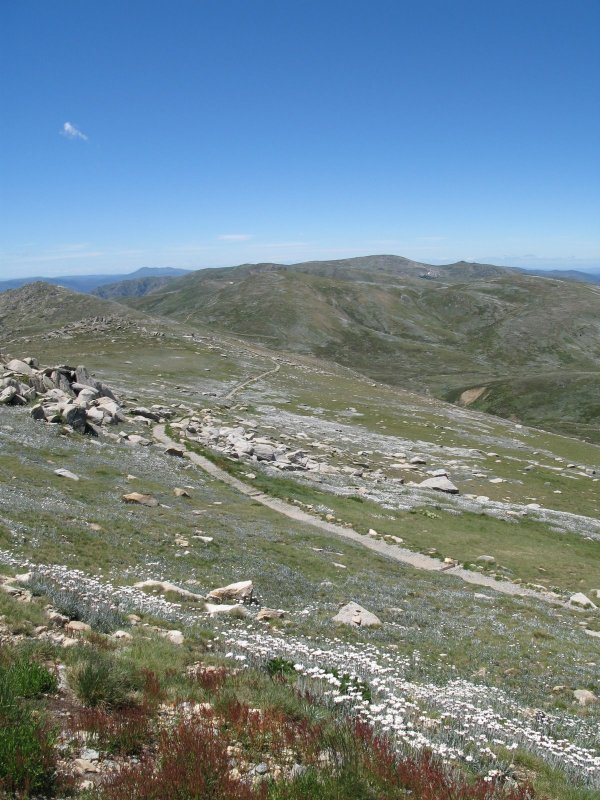Forbidden Trail