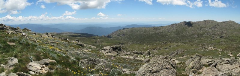 North of Kosciusko Views