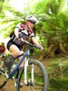 Pratiwi in the ferns