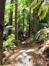 Sweet Whakarewarewa Sniggle (Corners)