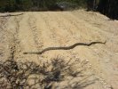 Cascades Python