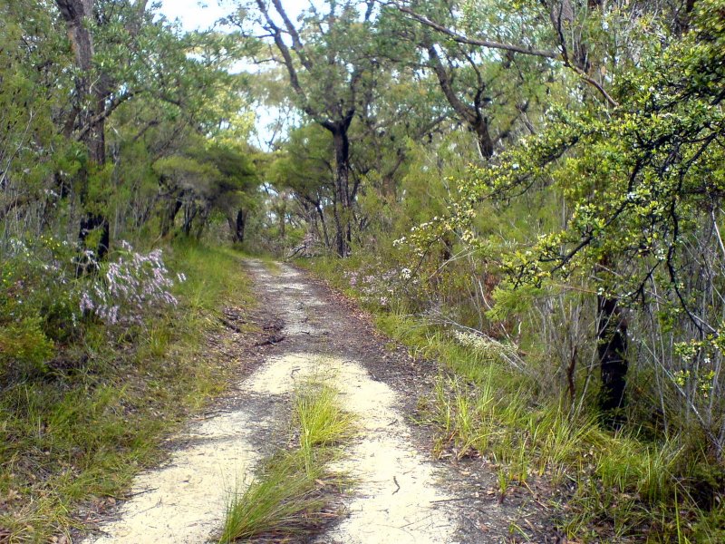 Portuguese Track