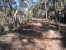 Lawson's descent