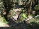 Creek Crossing