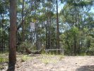 Mardi Fire Trail head