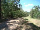 Scaddens Ridge Rd