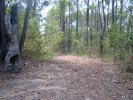Scaddens Ridge Rd - a turn off
