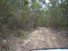 Scaddens Ridge Rd - rough downhill