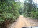 Wallaby Rd - almost down