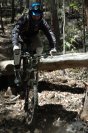 Liam Log Drop