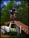 Volvo trail