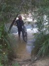 Brian crosssing the Creek today (Cascades)