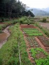 MTB'ing in Northern Vietnam- pics from the trail...