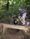 Bridge at Split Enz track