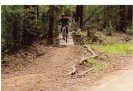 mt coramba downhill