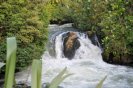 The falls