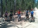 Ourimbah group