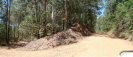 Bantam Rd