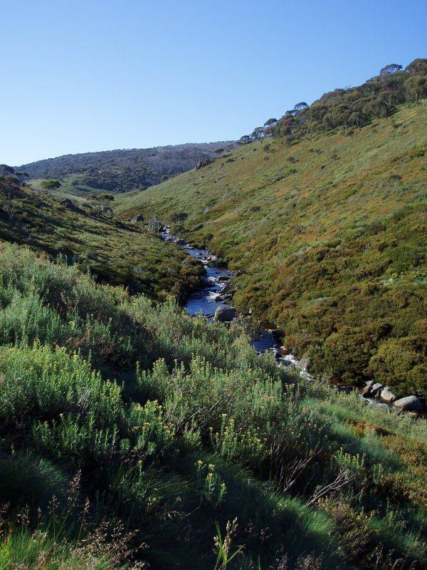 Thredbo River