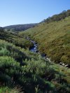 Thredbo River
