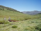 Thredbo River Crossing