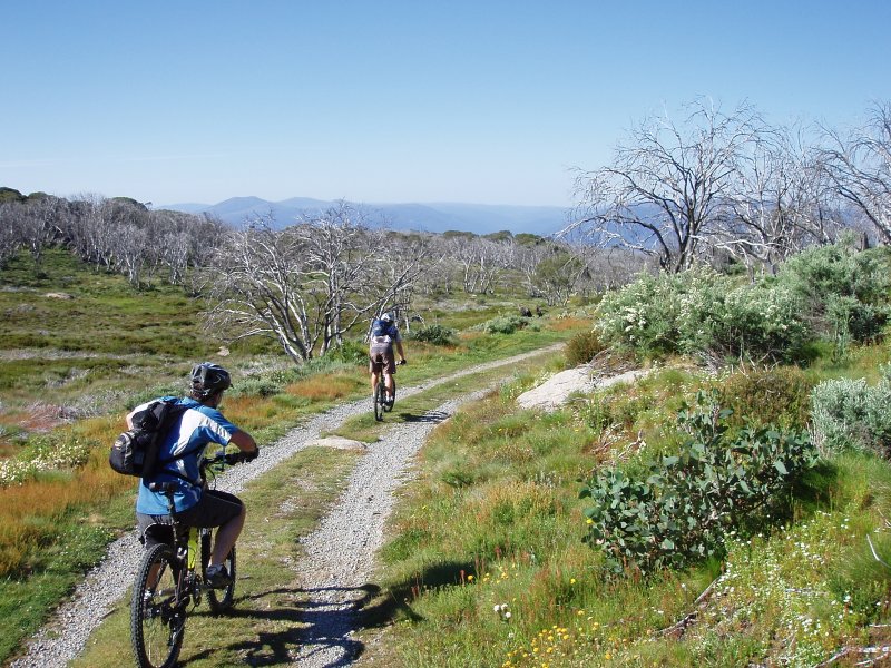 Cascade Trail