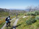 Cascade Trail