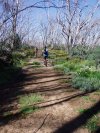 On the Cascade Trail