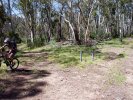 Cowombat Junction