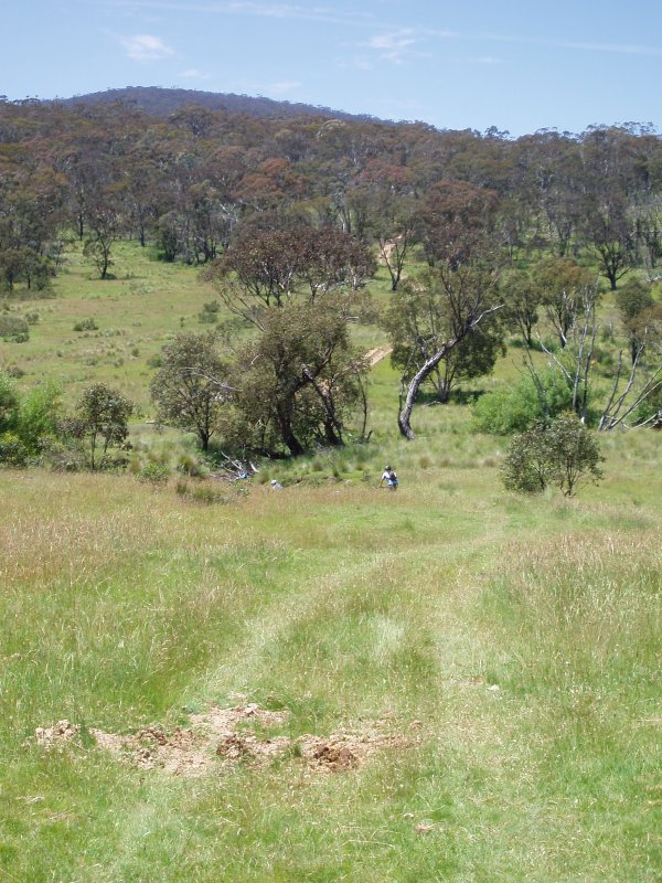 Ingeeboodbee Plains