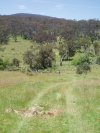 Ingeeboodbee Plains