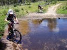 Another Creek Crossing