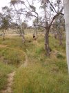 Jindy Maze