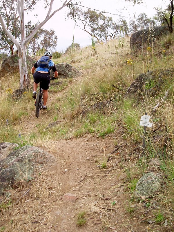 Climbing Sniggle